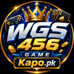 WGS456 Game