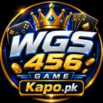 WGS456 Game